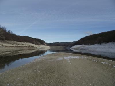 Прикрепленное изображение: индюк 048.jpg